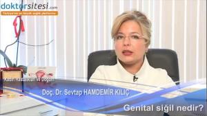 Prof. Dr. Sevtap Hamdemir Kılıç