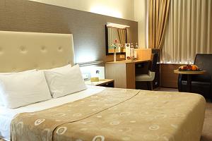 SÜRMELİ HOTEL  (5-star Ankara)