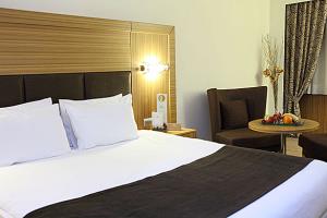 SÜRMELİ HOTEL  (5-star Ankara)