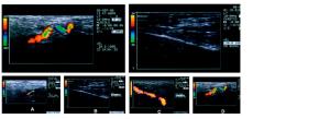 Alfamed Medical Imaging and Diagnosis Center
